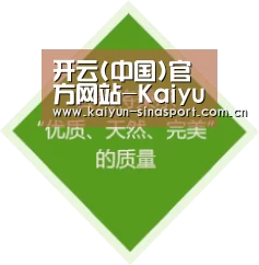 开云(中国)官方网站-Kaiyun